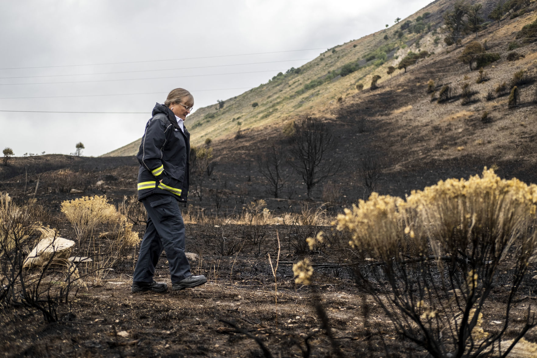 Saddle Butte Fire